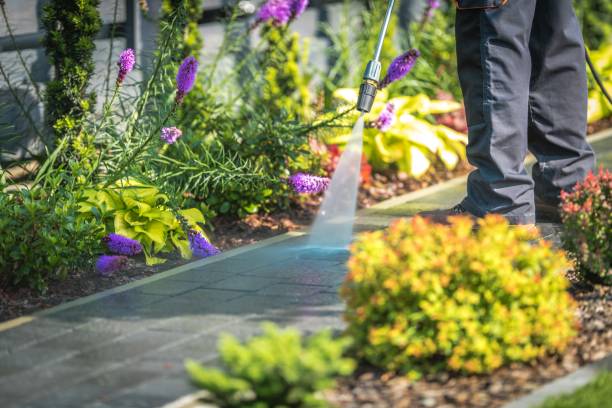 Reliable North Baltimore, OH  Pressure Washing Services Solutions